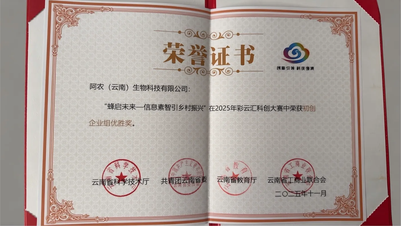 彩云汇科创大赛荣誉证书（内页）